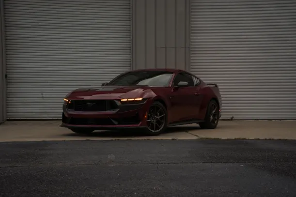 BlueLeo Casino Aplicación Android/iOS